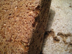 Rugbrød med surdej
